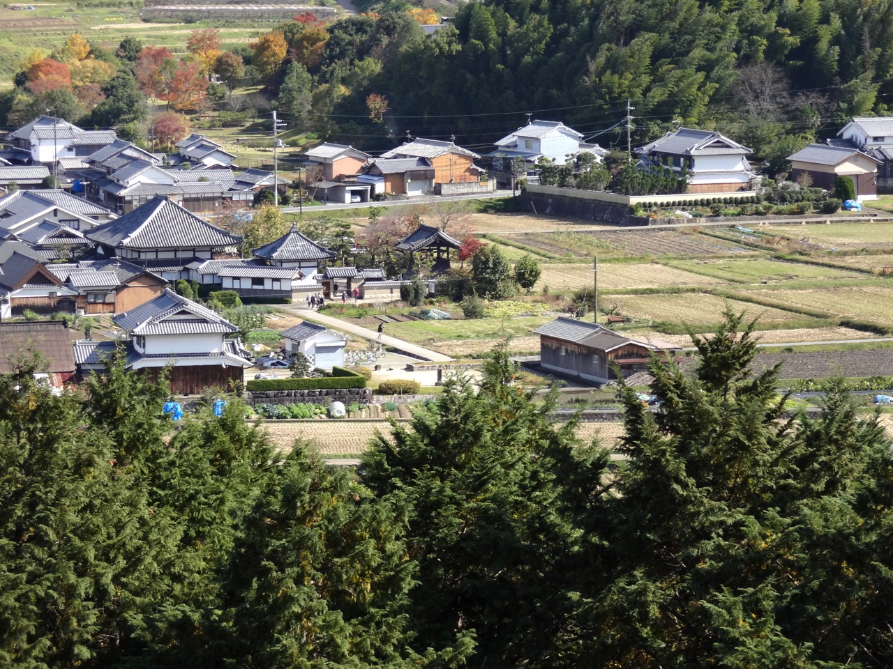 �Ê~�u����̒���