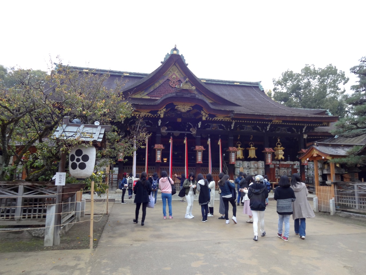 �k��V���{