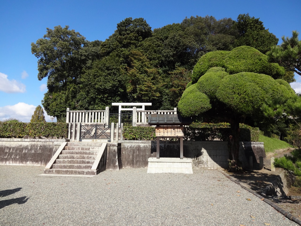 �������