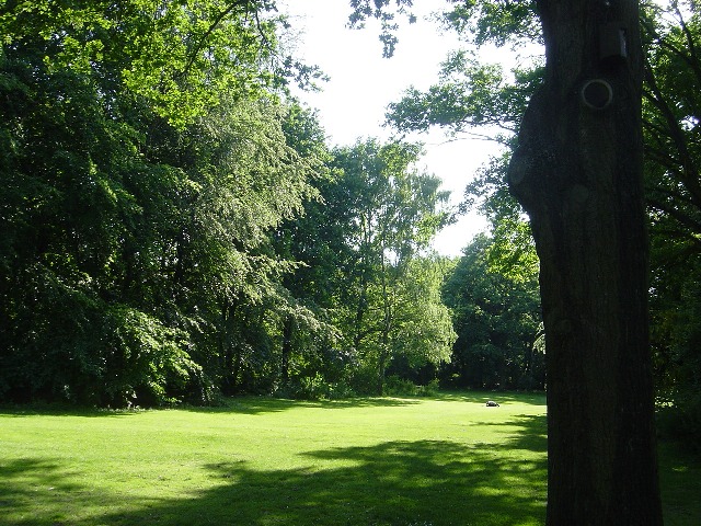 �e�B�[�A�K���e��[Tiergarten]