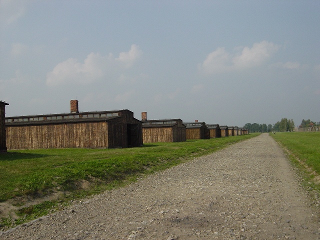 �r���P�i�E[Birkenau]