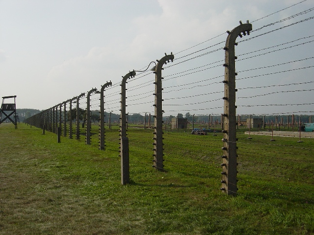 �r���P�i�E[Birkenau]