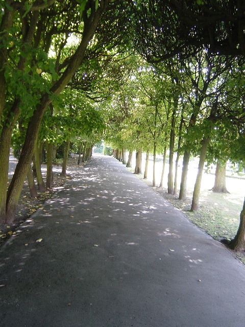 �I�����@����[Park&nbsp;Oliwski]