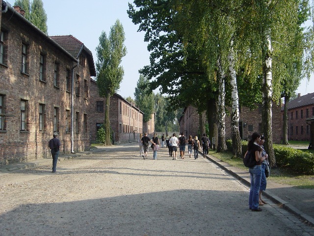 �A�E�V�����B�b�c[Auschwitz]