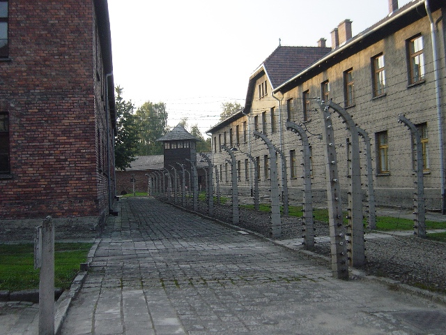 �A�E�V�����B�b�c[Auschwitz]