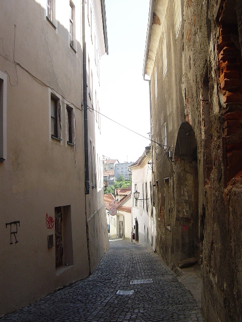 �}���{���̒ʂ�[Ulica]