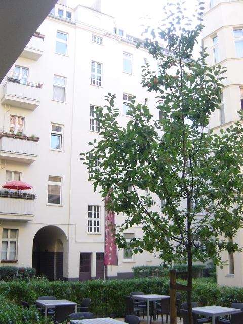 �z�e���A�p�[�g�����g�c�@�[�����z�t[Hotel&nbsp;Apartmenthaus&nbsp;Zarenhof]