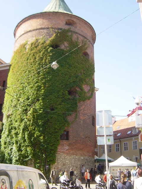 �Ζ�[Pulvertornis]