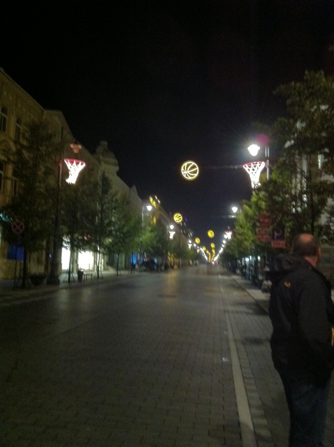 �Q�f�B�~�m��ʂ�[Gedimino&nbsp;pr.]