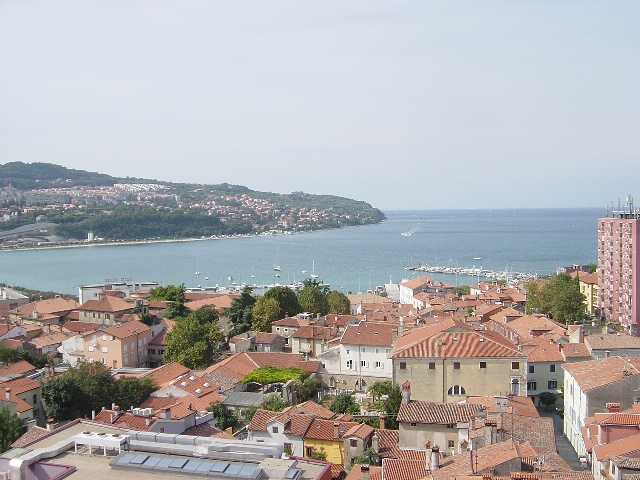 ������̒���