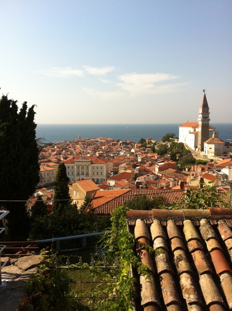 ��ǂ���̒���