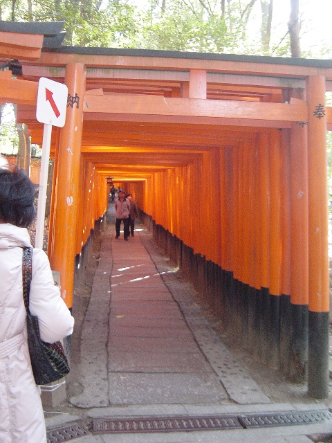 ������ב��