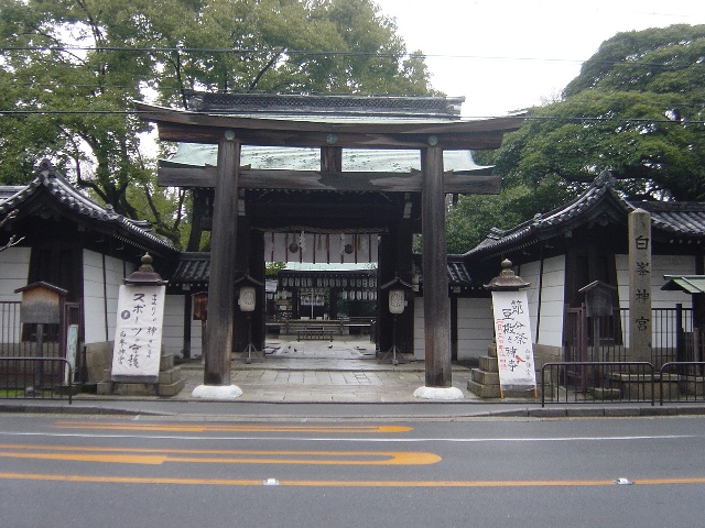 �����_�{