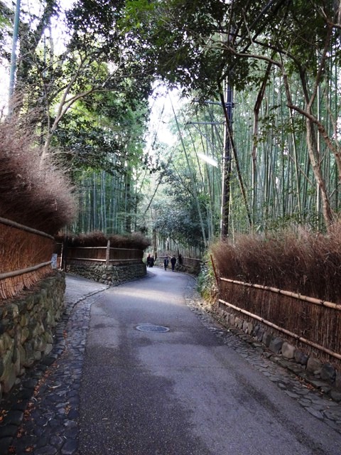 ���R�̒|��