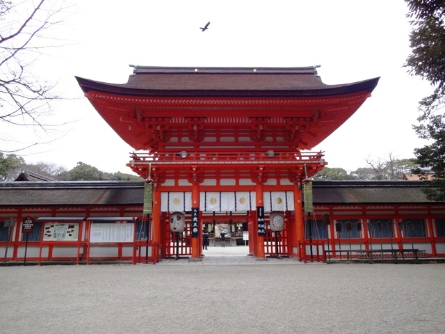 �����_��