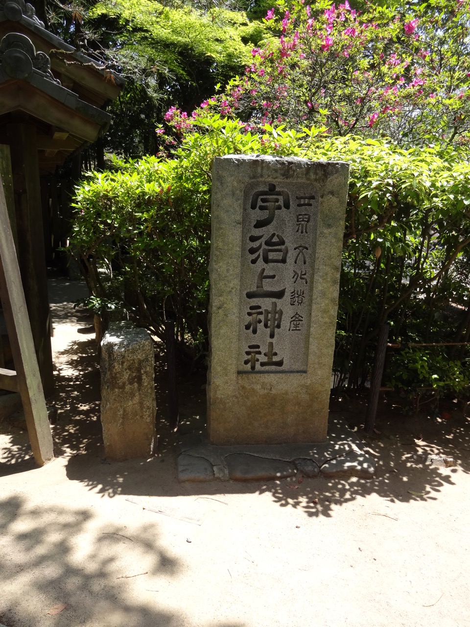 �F����_��