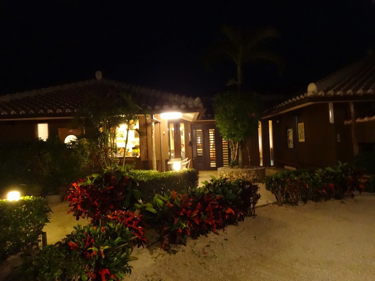 �K�[�f��������