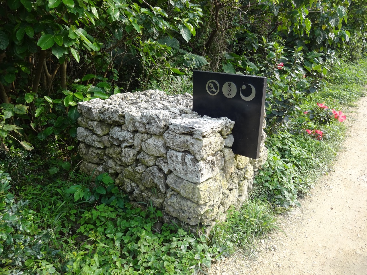 ���̂�̓����