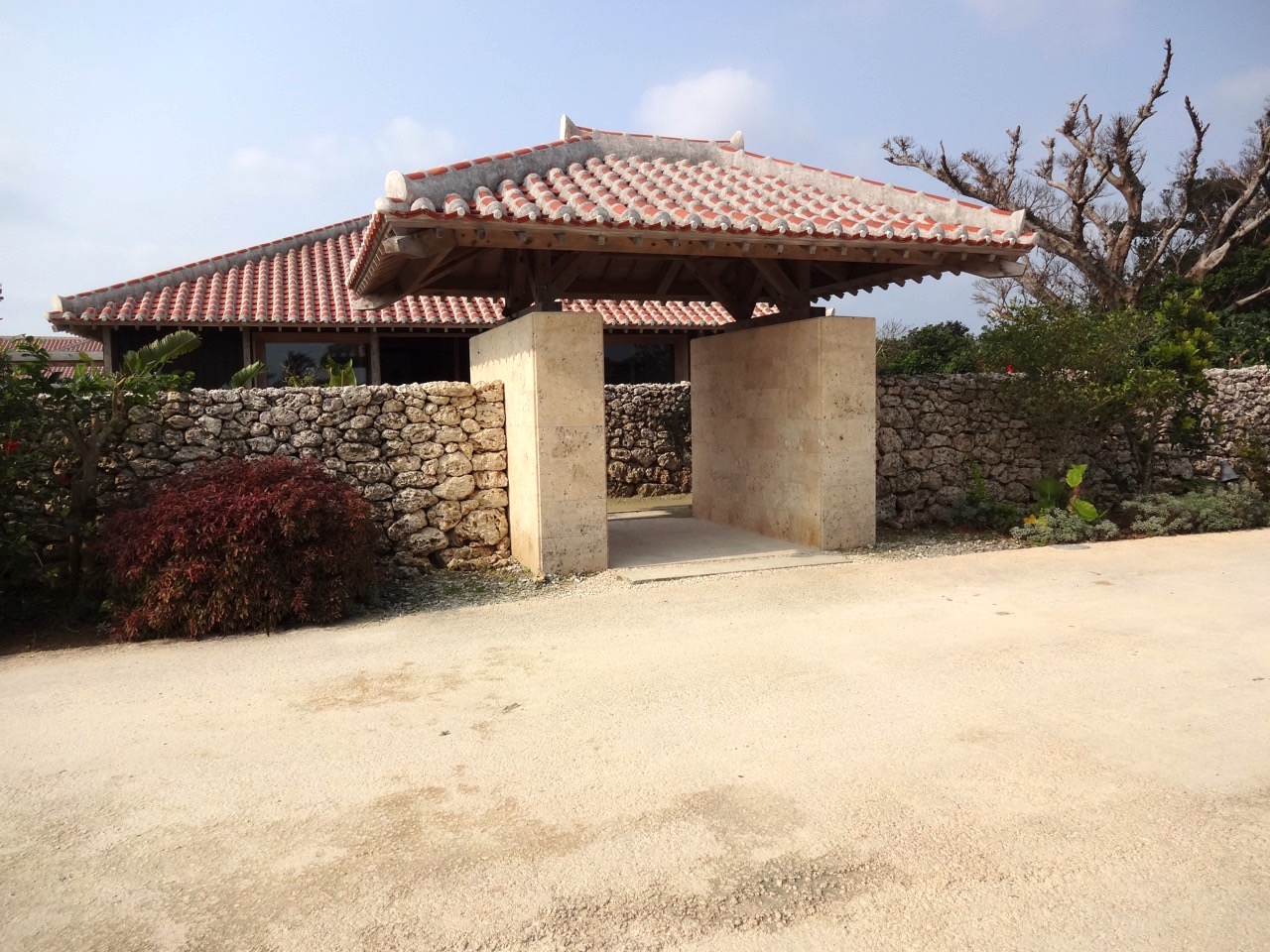 ���̂�̃��Z�v�V����