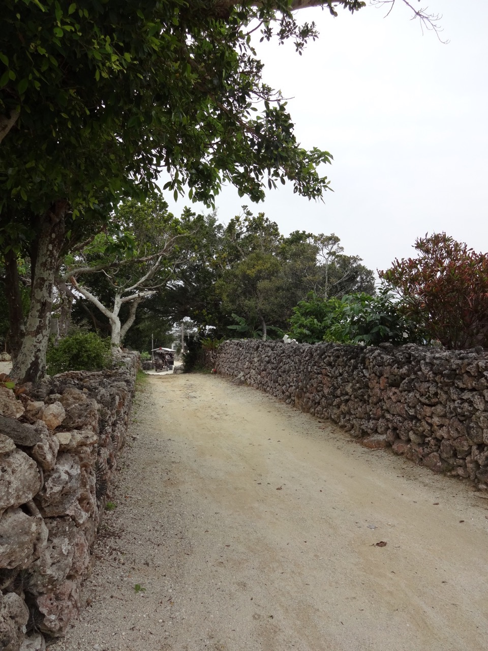 �|�x���̒ʂ�