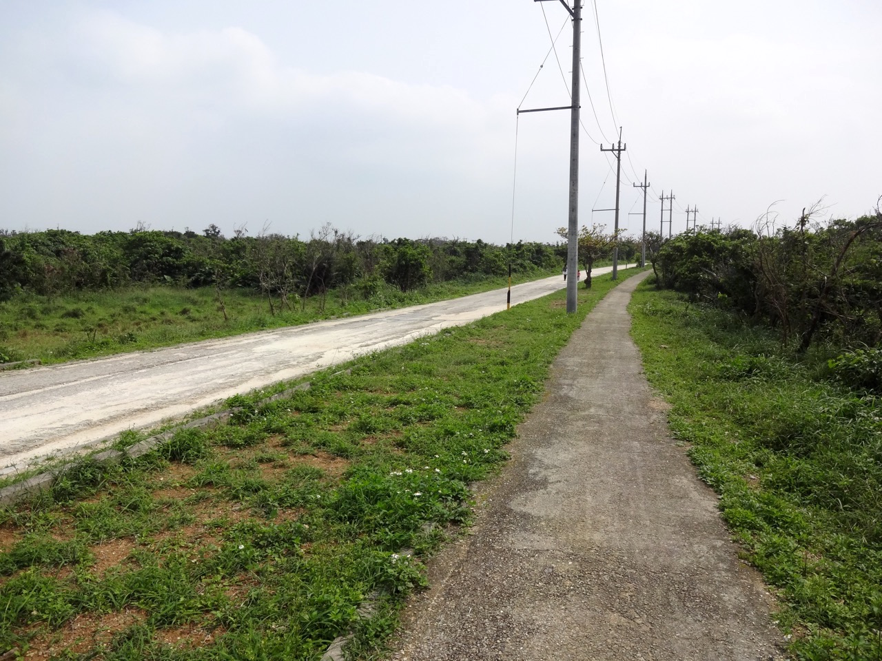 �|�x���̒ʂ�